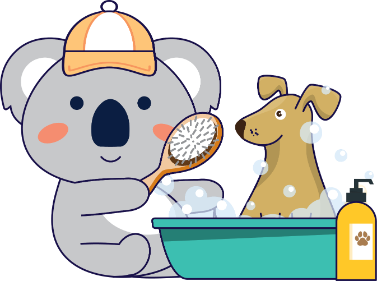 UOW_KOALA_Animal Care