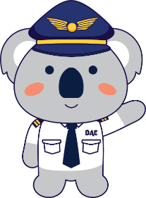 UOW_KOALA_Aviation
