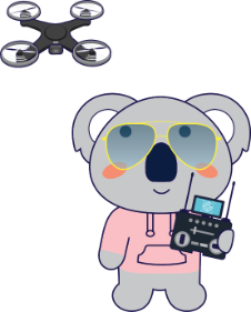 UOW_KOALA_Drone Control